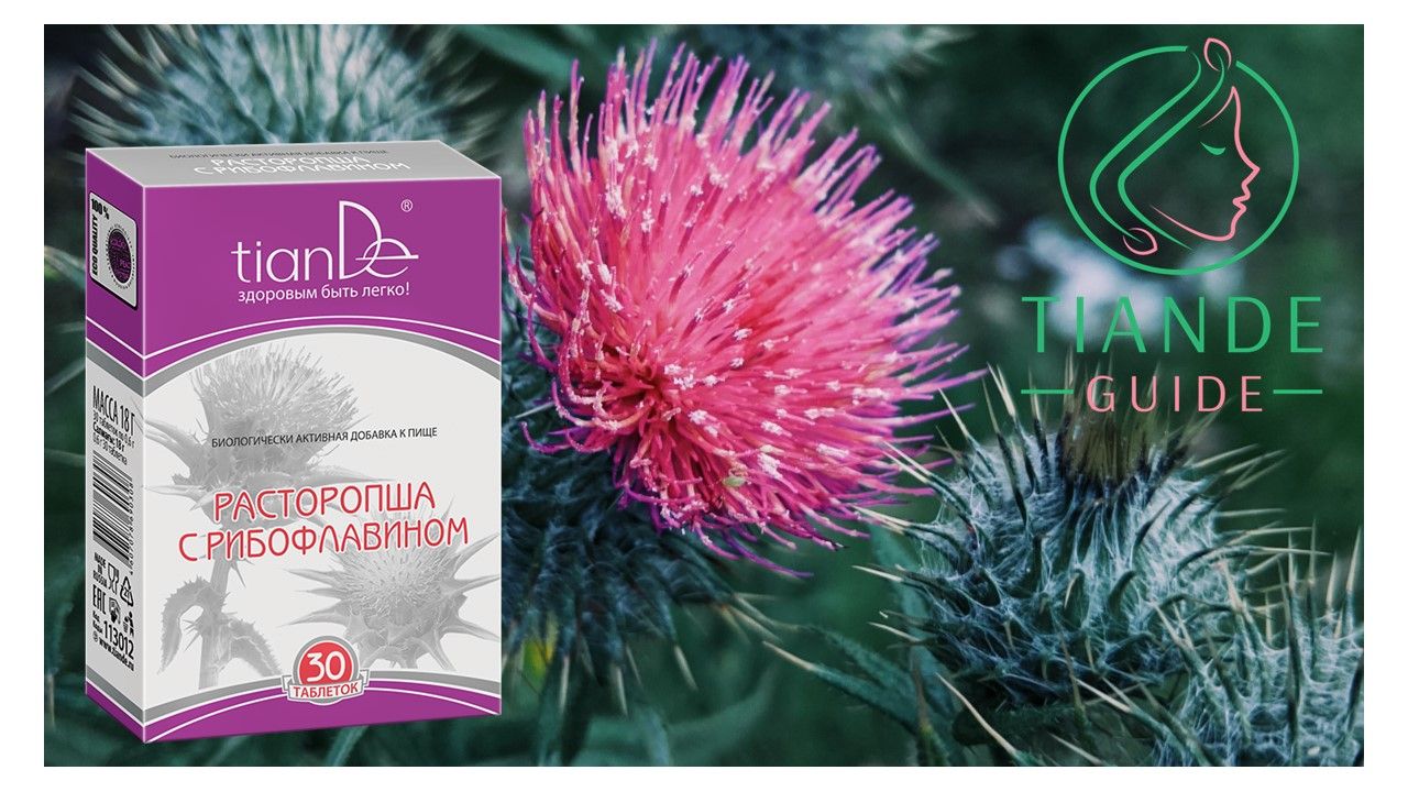 cardo thistle hígado hepático tiande guide