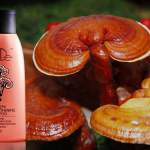 20107 champú lingzhi reishi tiande guide