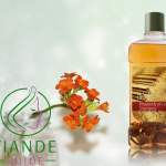 rapsodia de amor tiande guide champú