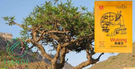 parche wutong para articulaciones tiande guide