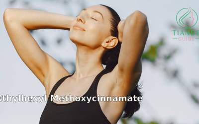 el Etilhexil Metoxicinamato generalmente se considera seguro para el uso diario