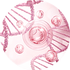 colageno tiande guide