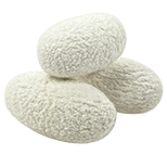 extracto de seda en serum 10101tiande guide